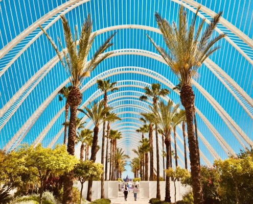 Valencia-palmtrees
